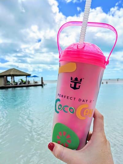 Everything You Need to Know About Royal Caribbean’s Perfect Day at ...