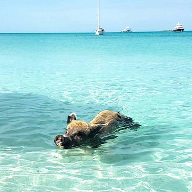 Bahamas