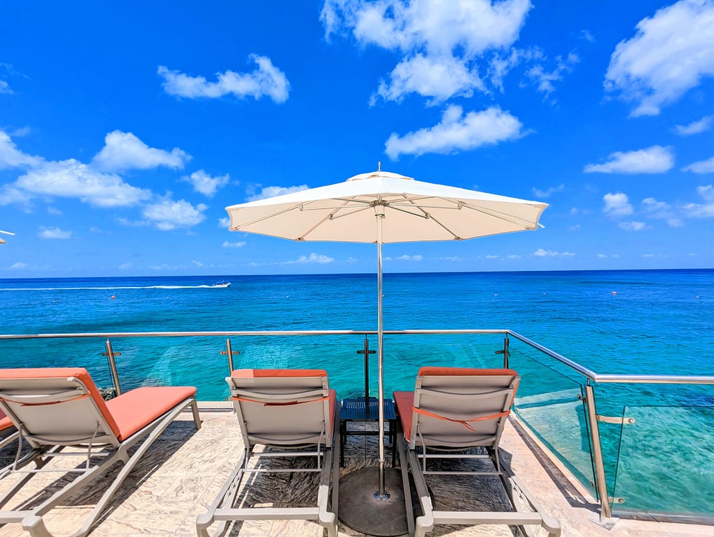 PXL_20230415_165038192.NIGHT~2